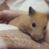 ☆ミッケ☆