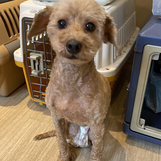 【募集停止】穏やかで人が好きな女の子