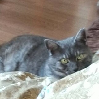 性格はなまる 少しびびりの ウメちゃん5歳