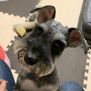 元気で活発な女の子♪