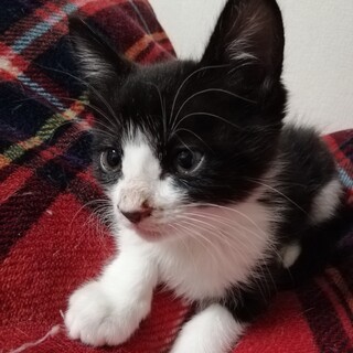 ☆２匹一緒に☆　ひーちゃんとふーちゃん