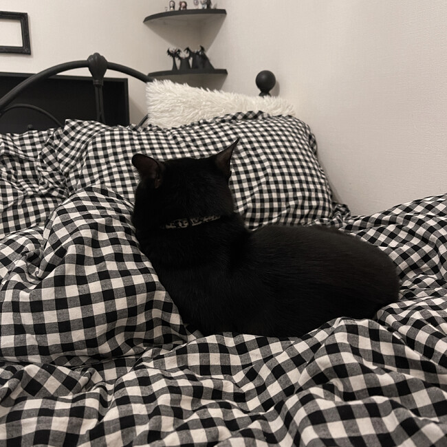 unjyuのカバー写真