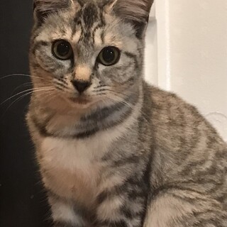 まだちょっと怖がりなチビ