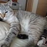 の写真