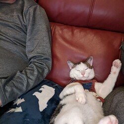 「トラ男1番えらそー」サムネイル2