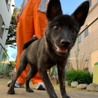 ありがとうございました！