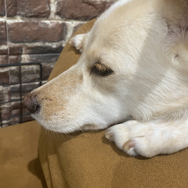 心の友（╹◡╹）のカバー写真