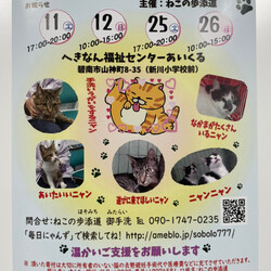 保護猫の譲渡会（ねこの歩添道さんの主催の譲渡会）