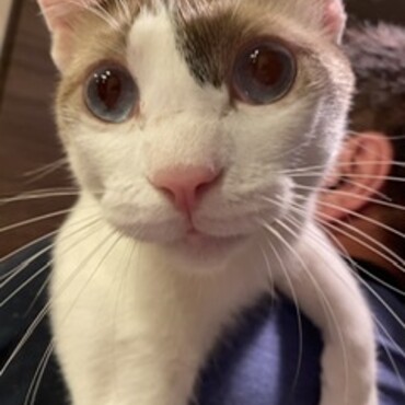 の写真