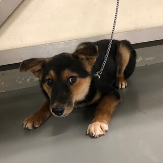 華奢に成長中の、ふなもちゃん→相談中！