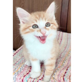 わんぱく坊ちゃん☆ロッキー君