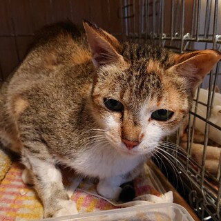 まあちゃん