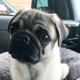 幸せになりました♡ありがとうございました