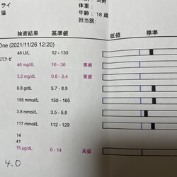 雷ジイ…病院へ行く！