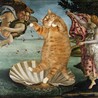 zodiac