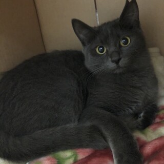 1月9日★堺市里親会★チルちゃん