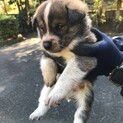 ありがとうございました！