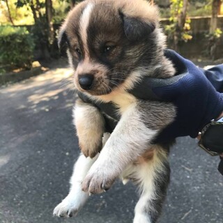 ありがとうございました！