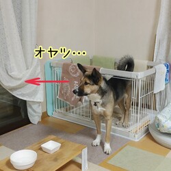 琳ちゃんとじぃじ⑦