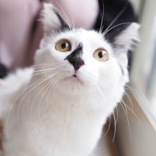 お転婆で綺麗なハナちゃん♪