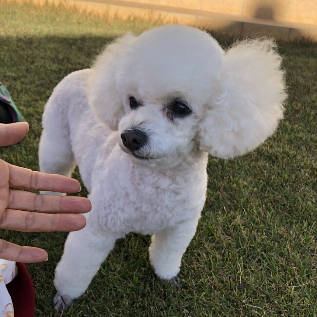こゆきままさんのカバー写真