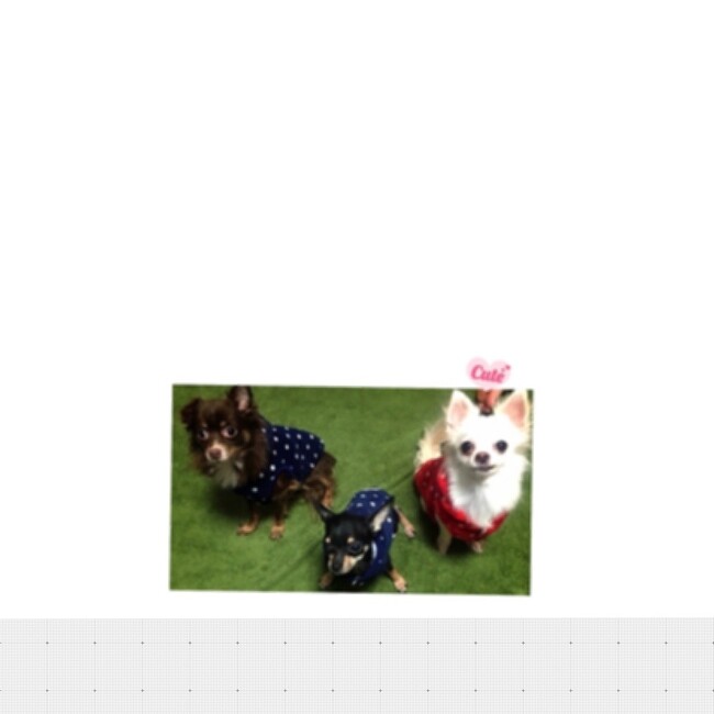 チョコブラノアのカバー写真