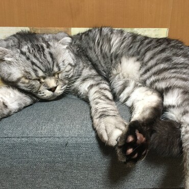 大好きな場所