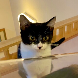 元気いっぱい生後4ヶ月♪