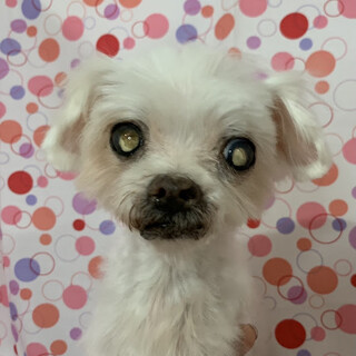 えさん）シニアの魅力の詰め合わせ❤