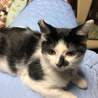 〝仙石マロンくん〟です♪