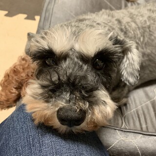 慣れると甘えたな女の子♪