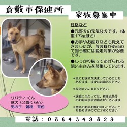 倉敷の職員さんの誠実なメッセージ→全頭譲渡決定！
