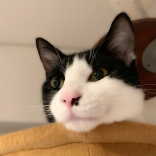 人大好き✨あまあま甘えん坊でユーモラスな男の子
