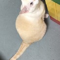 甘えん坊の男の子