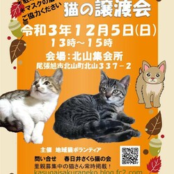 保護猫の譲渡会at北山集会所