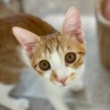 人が大好き❤️マロンです