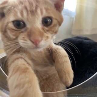 とにかく元気！走りだしたら止まらない