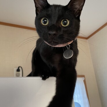 の写真