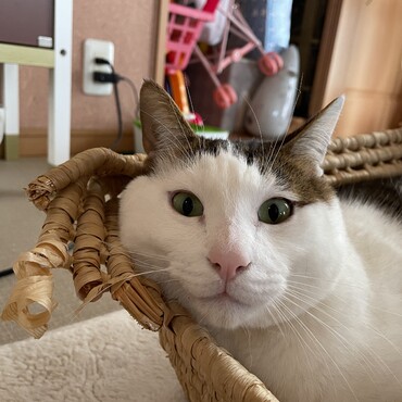 の写真