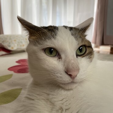 の写真