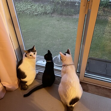 の写真