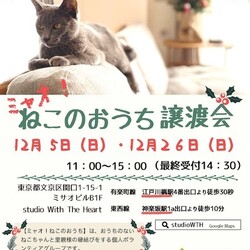 ◇ミャオ!ねこのおうち◇譲渡会