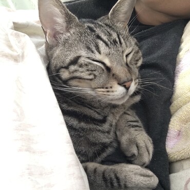 甘えん坊なかいちゃん♡
