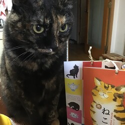 嬉しい出会い