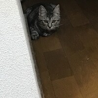 ルナ