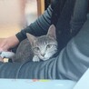 そらくんくん