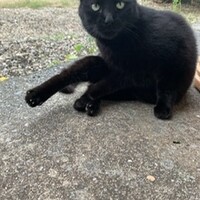 みーちゃん