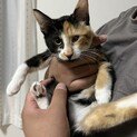 片目が悪いのもこの子の個性☺︎
