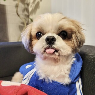 甘えん坊♡でもマイペースで落ち着きのあるマフくん