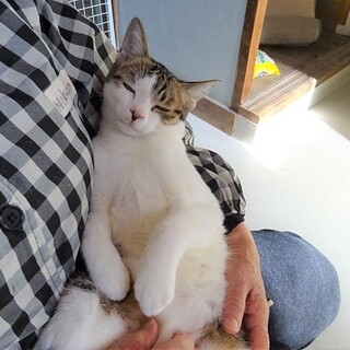 【動画】抱っこ大好き☆超甘えん坊♡
